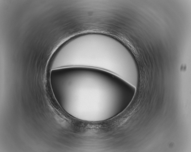 X0000096480484200801241150