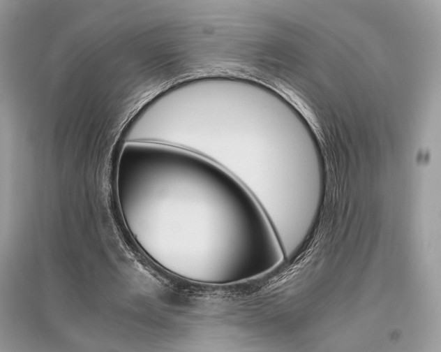 X0000096480485200801241150