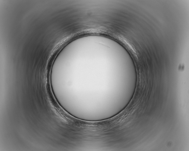 X0000096480486200801241150