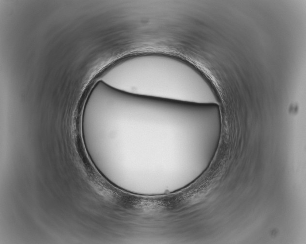 X0000096480487200801241150
