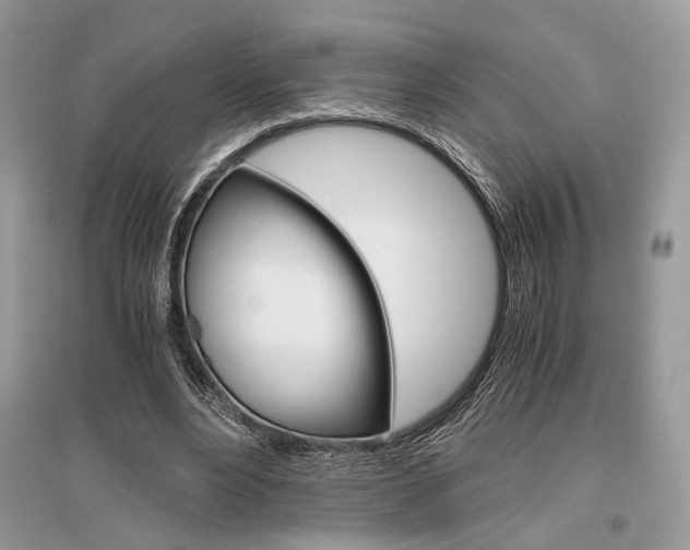 X0000096480488200801241150