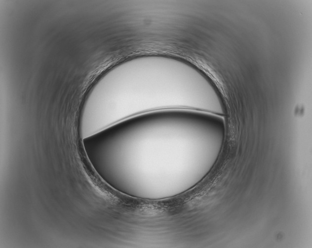 X0000096480489200801241150