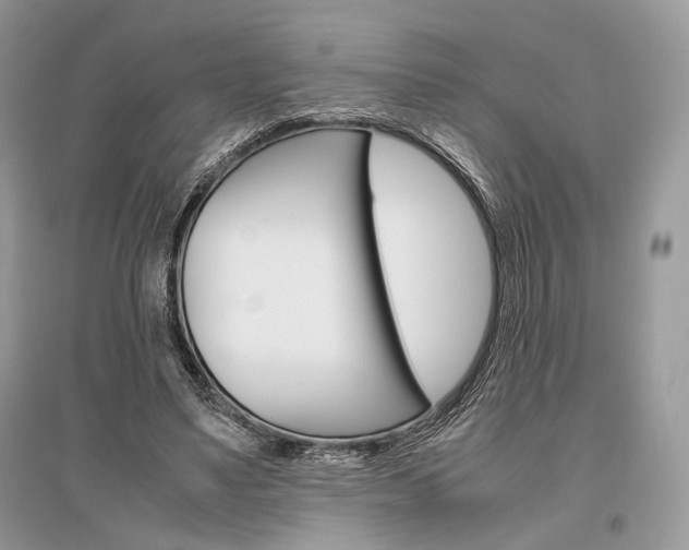 X0000096480491200801241150