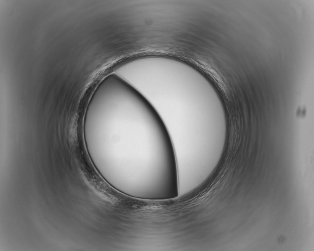 X0000096480492200801241150