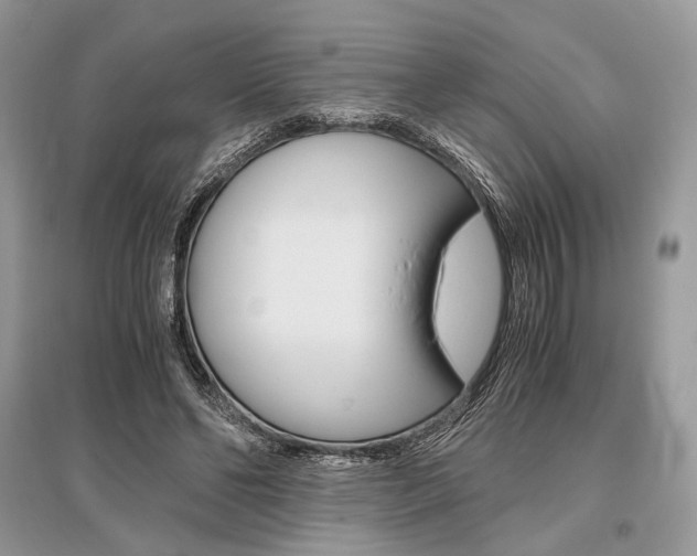 X0000096480494200801241150