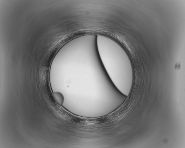 X0000096480495200801241150