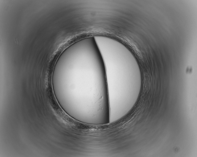 X0000096480496200801241150
