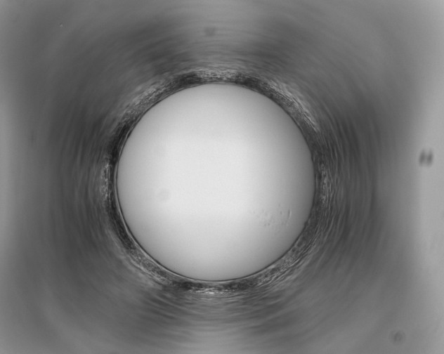 X0000096480498200801241150