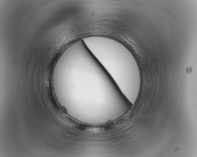 X0000096480499200801241150