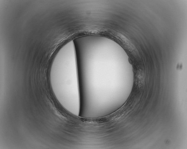 X0000096480500200801241150