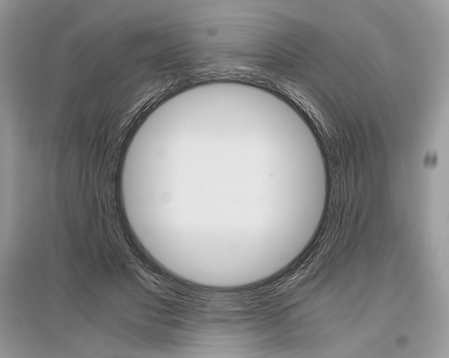 X0000096480501200801241150