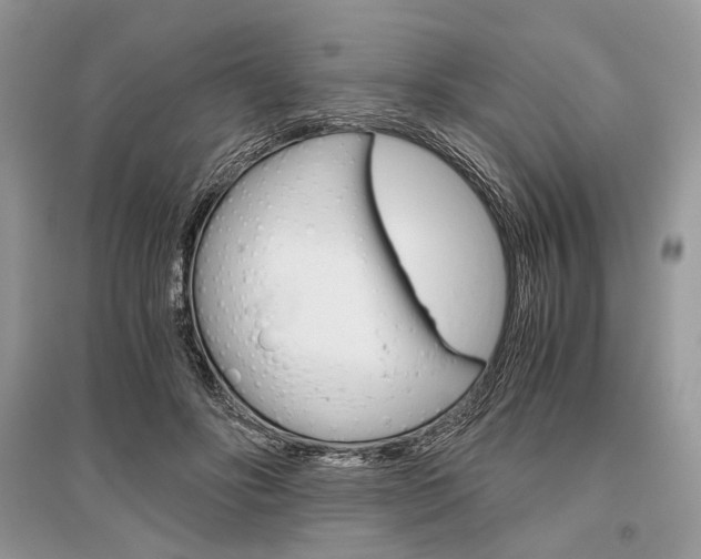 X0000096480502200801241150