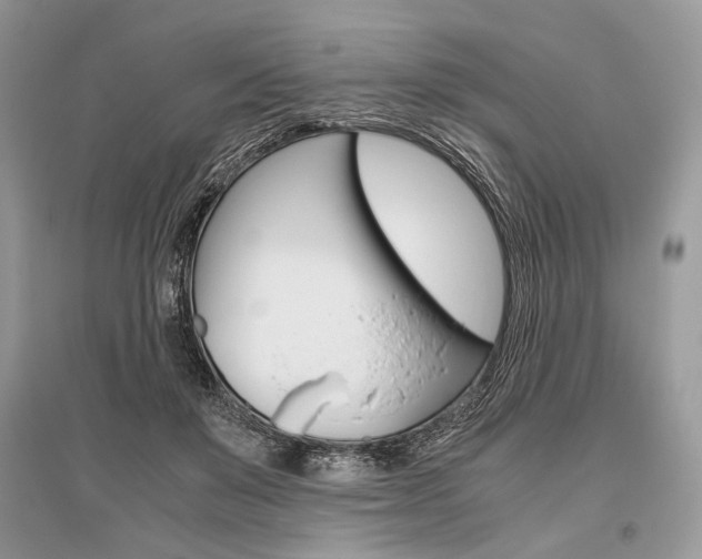 X0000096480503200801241150