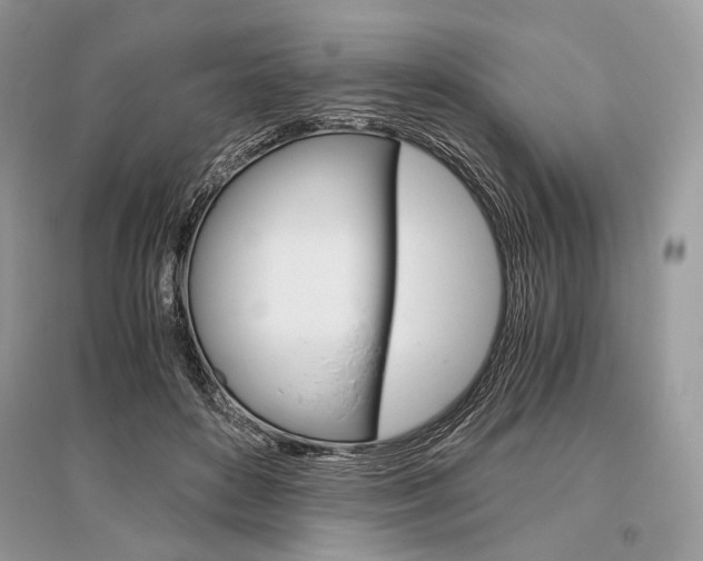 X0000096480504200801241150