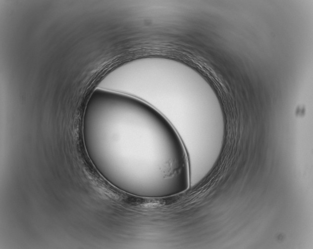 X0000096480505200801241150