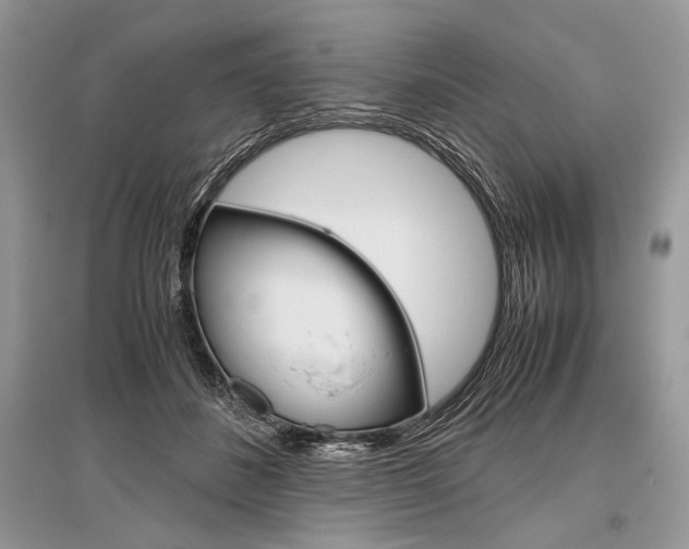 X0000096480508200801241150