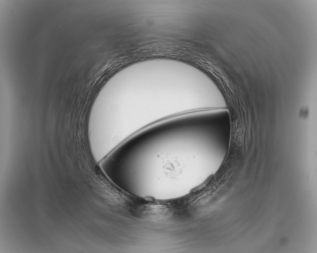X0000096480509200801241150
