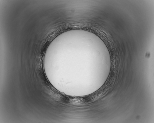 X0000096480511200801241150