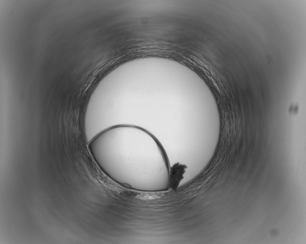 X0000096480512200801241150