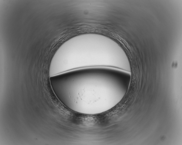 X0000096480513200801241150