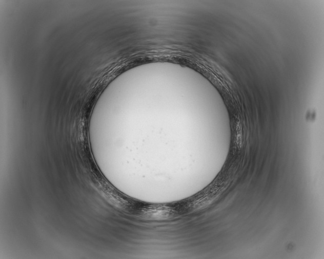 X0000096480514200801241150