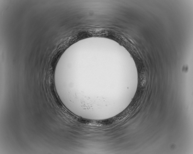 X0000096480515200801241150