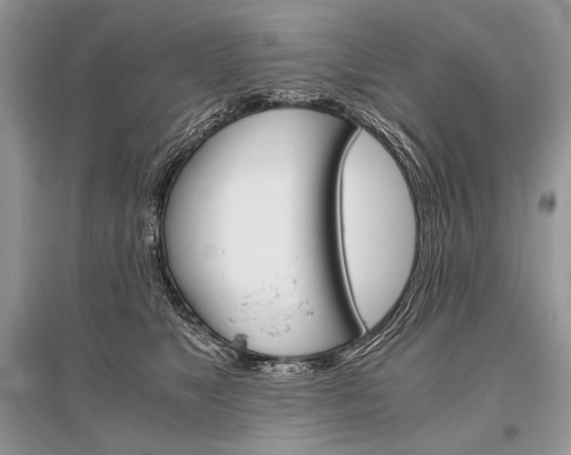 X0000096480517200801241150