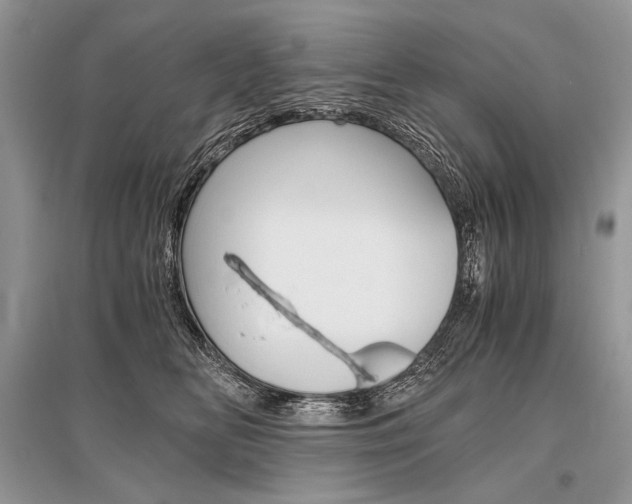 X0000096480518200801241150