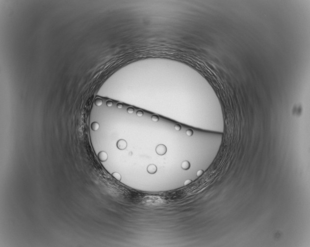 X0000096480519200801241150