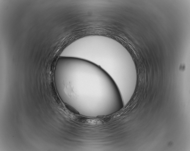 X0000096480520200801241150