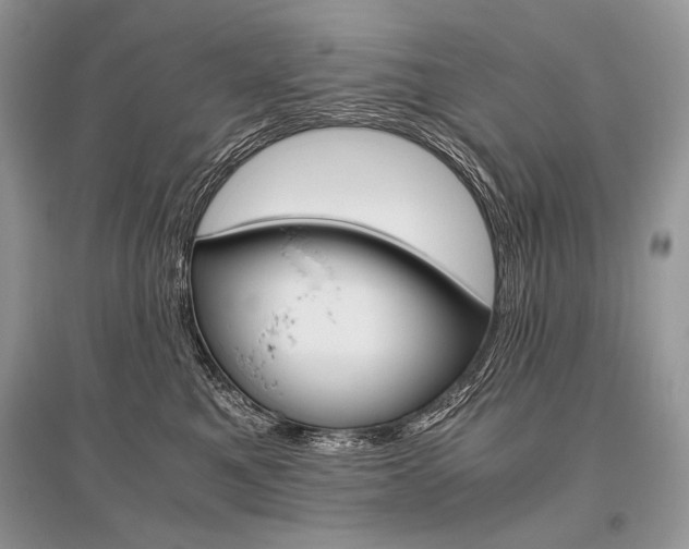 X0000096480521200801241150