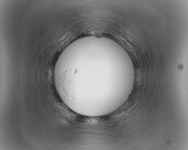 X0000096480523200801241150