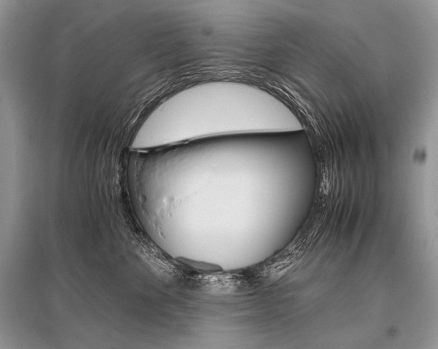 X0000096480524200801241149
