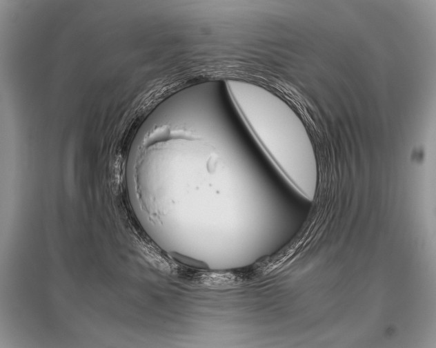 X0000096480525200801241149