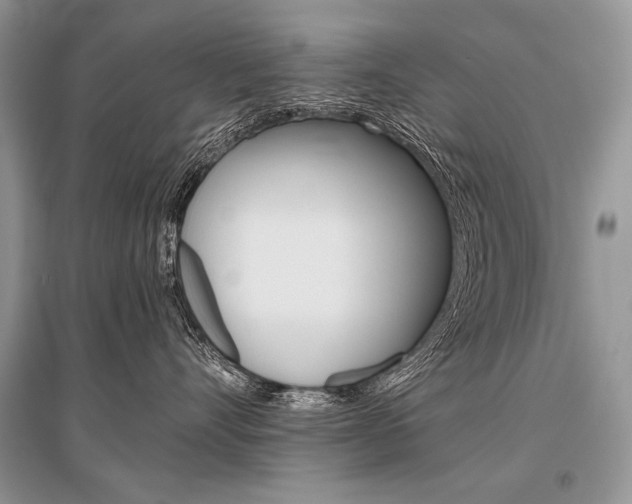 X0000096480528200801241149
