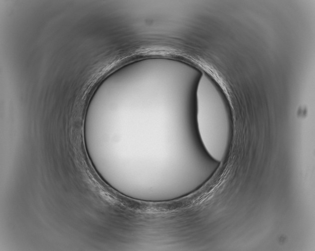 X0000096480529200801241149