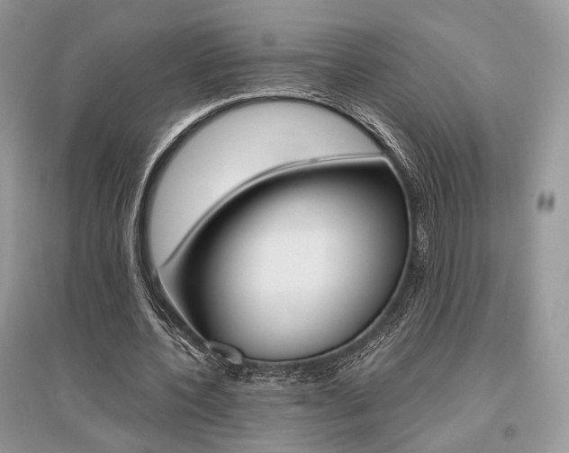 X0000096480532200801241149