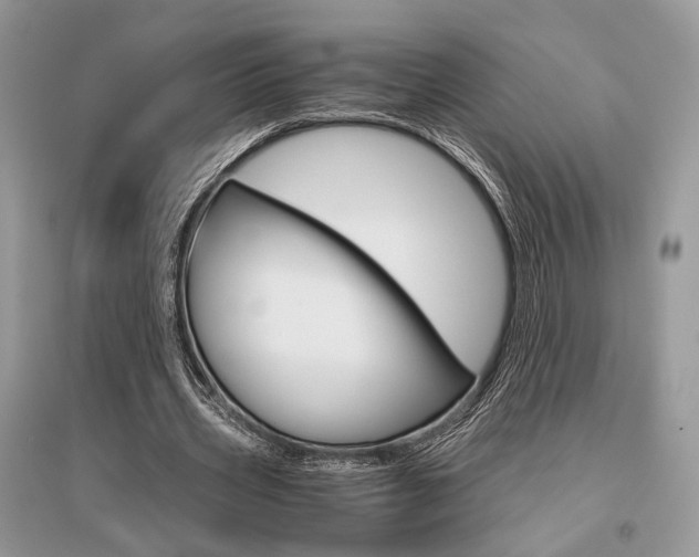X0000096480533200801241149