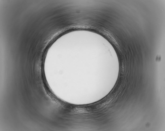 X0000096480534200801241149