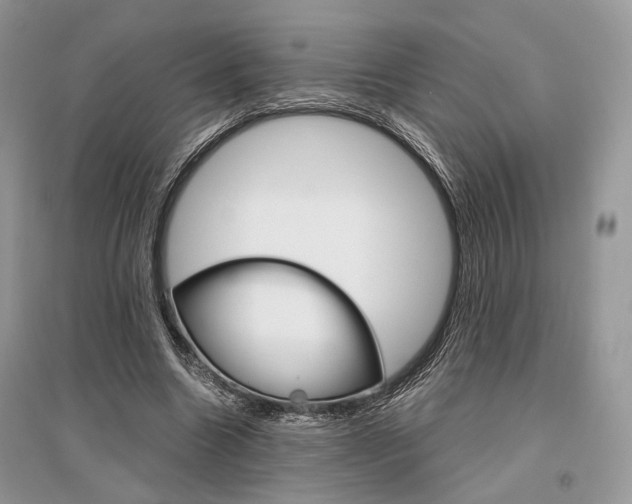 X0000096480538200801241149