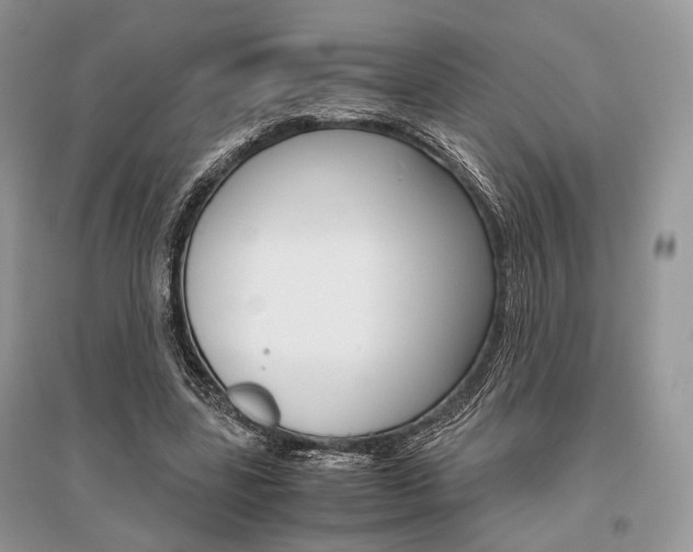 X0000096480539200801241149