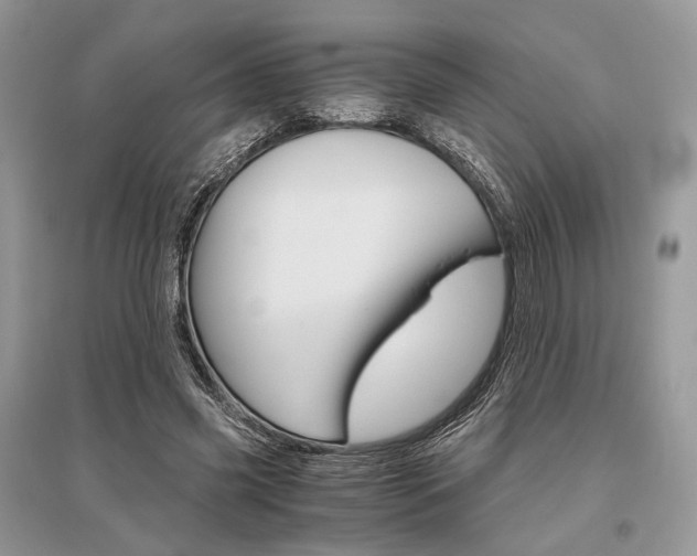 X0000096480541200801241149