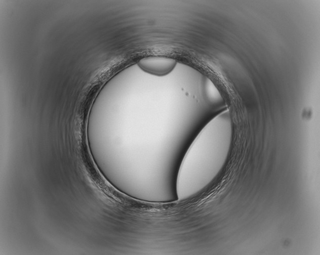 X0000096480542200801241149