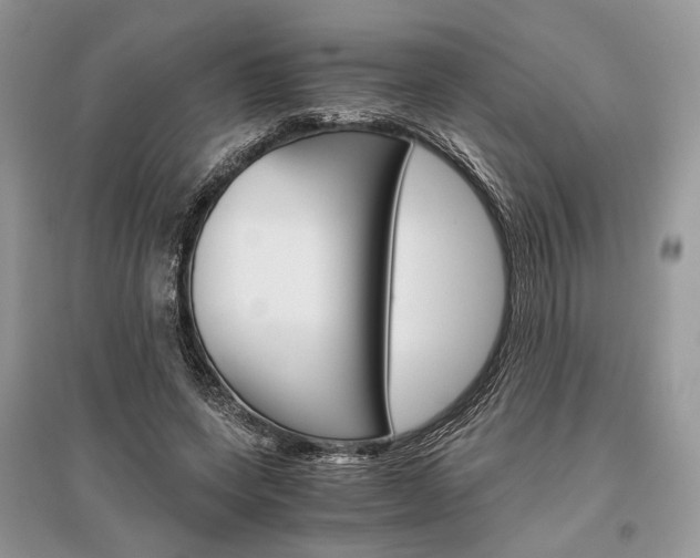 X0000096480543200801241149