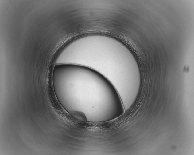 X0000096480544200801241149
