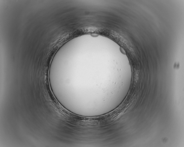 X0000096480545200801241149