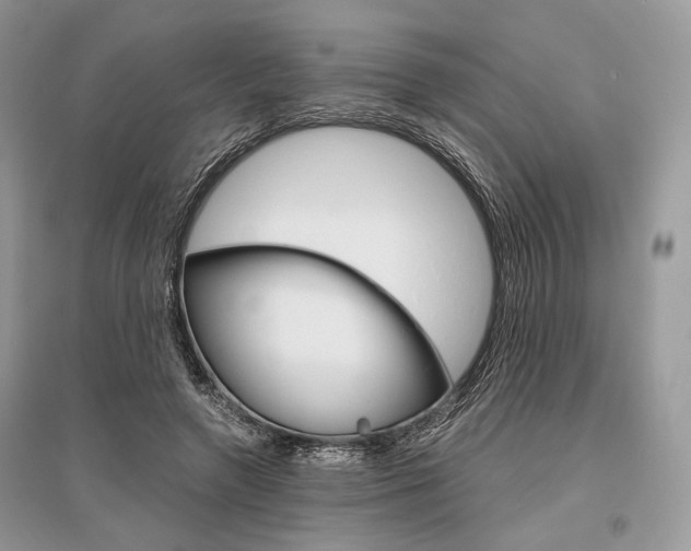 X0000096480546200801241149