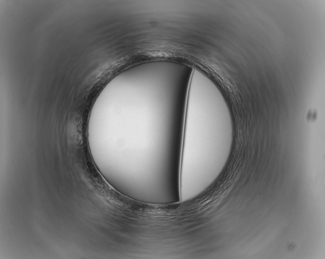X0000096480547200801241149