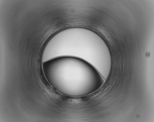 X0000096480548200801241149