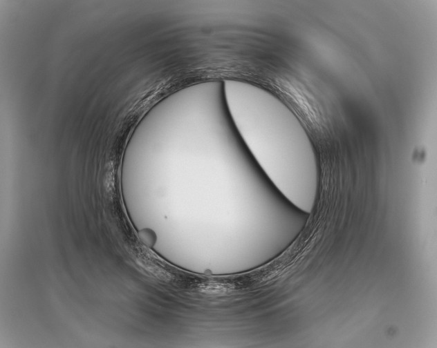 X0000096480549200801241149